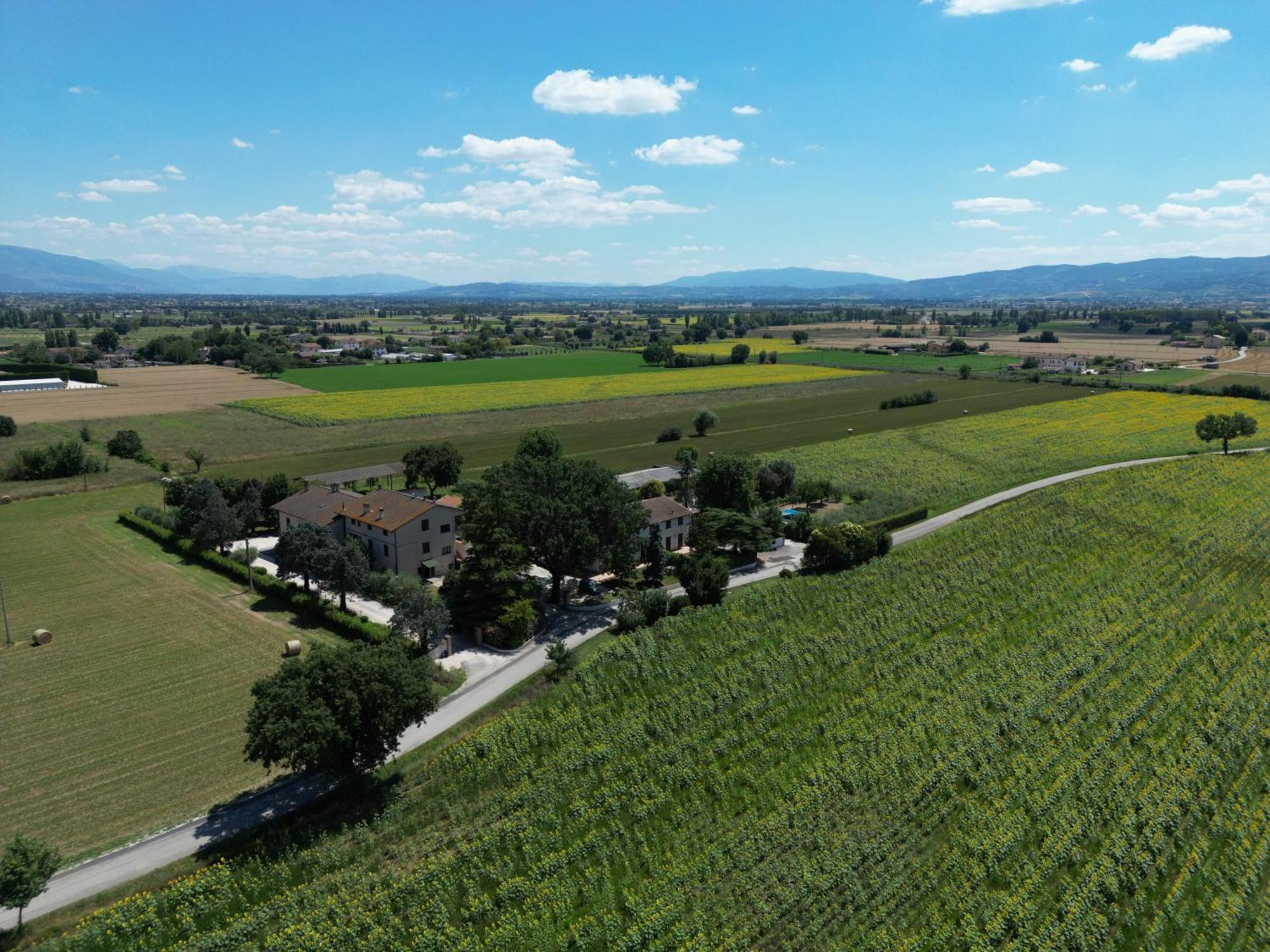 Il Quercione Agriturismo Rivotorto Exterior foto