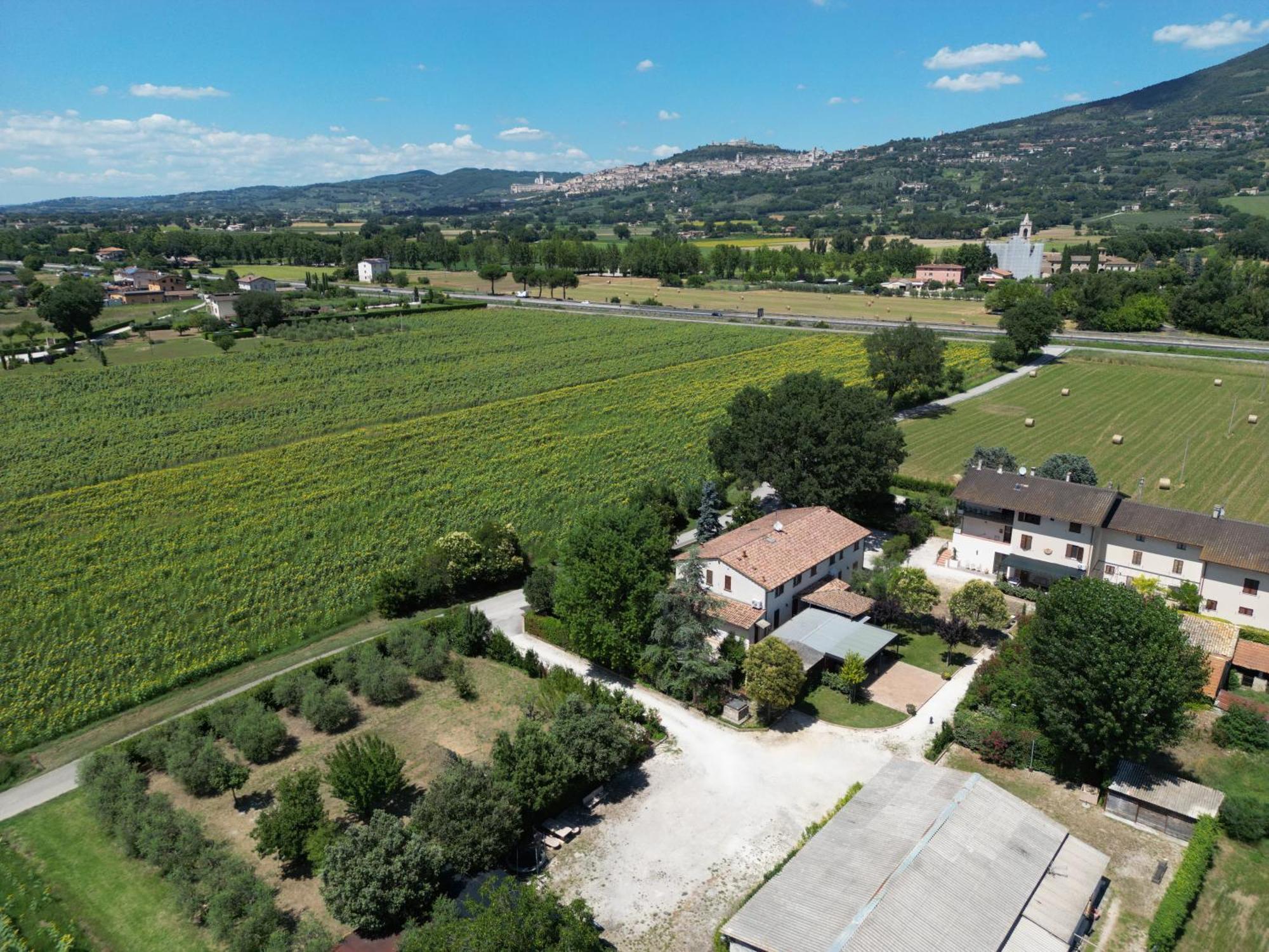 Il Quercione Agriturismo Rivotorto Exterior foto